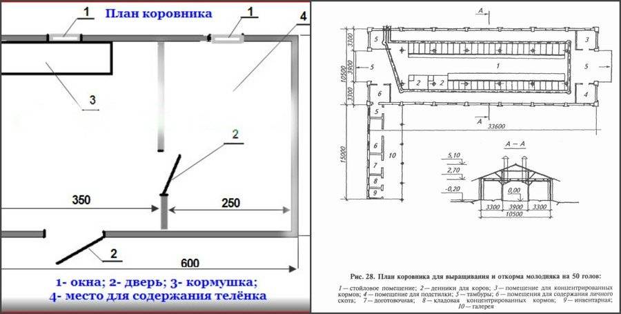 План мини фермы для разных животных