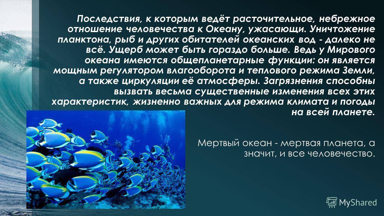 Вода мирового океана составляет. Мировой океан презентация. Организмы в морях и океанах. Защита мирового океана. Биологические богатства мирового океана.