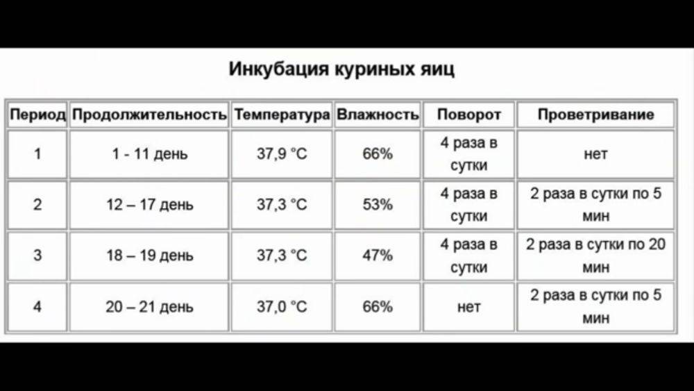 Схема инкубации куриных яиц в инкубаторе блиц