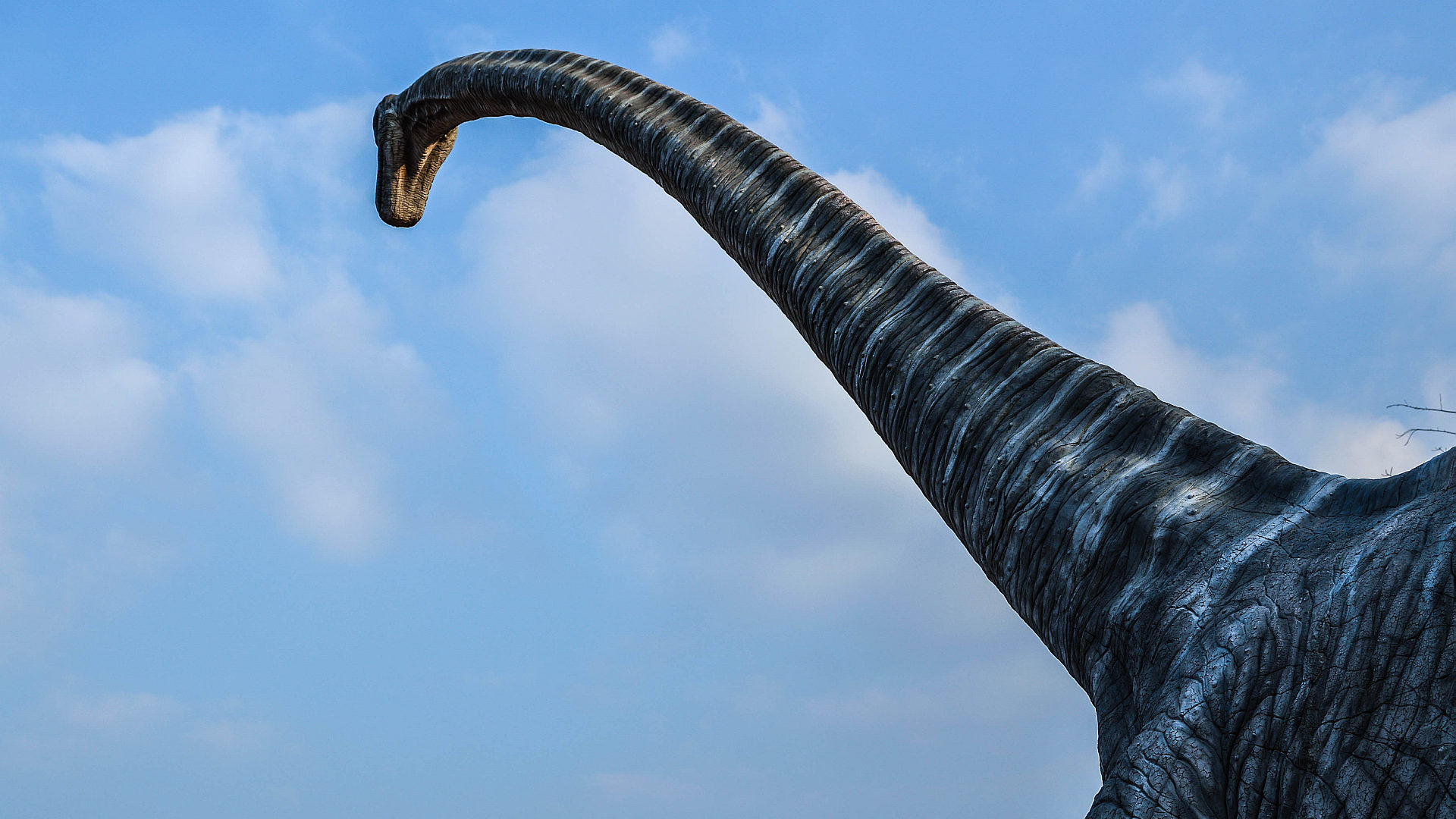 Топ-11 самых больших динозавров в мире