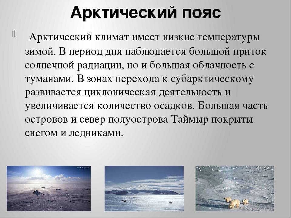 План описания арктических пустынь