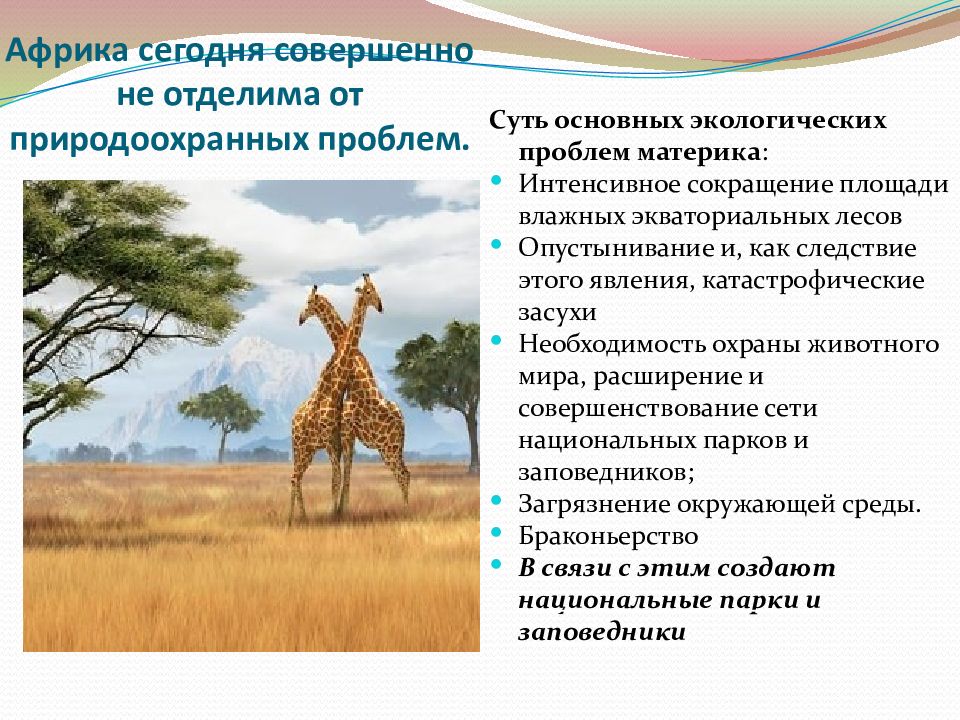 Этоша. национальный парк намибии