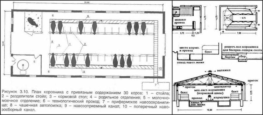 Строительство коровников