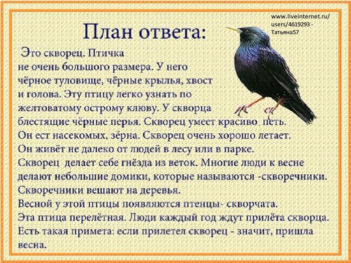 Составь описание известной тебе птицы по плану 2 класс