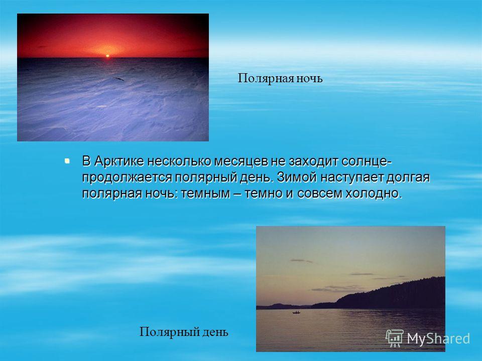 Текст полярной ночью в тундре когда солнце. Презентация о полярной ночи. Полярный день презентация. Полярный день и Полярная ночь. День и ночь в Арктике.