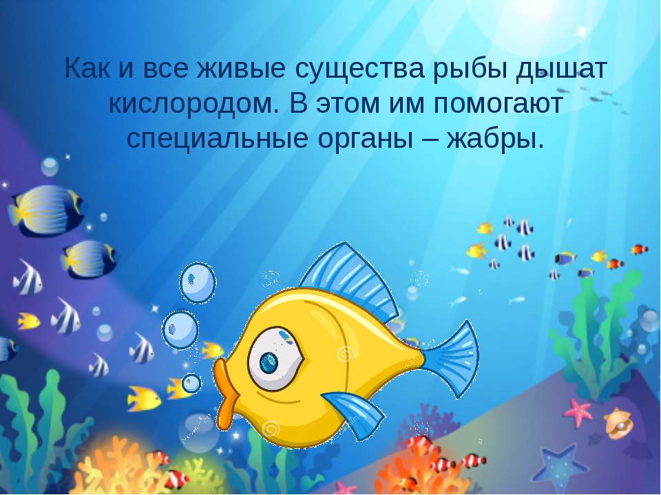 Живет и дышит в воде. Как дышат рыбы. Как рыбы дышат под водой. Как дышат рыбы под водой для детей. Дышат ли рыбы в воде.