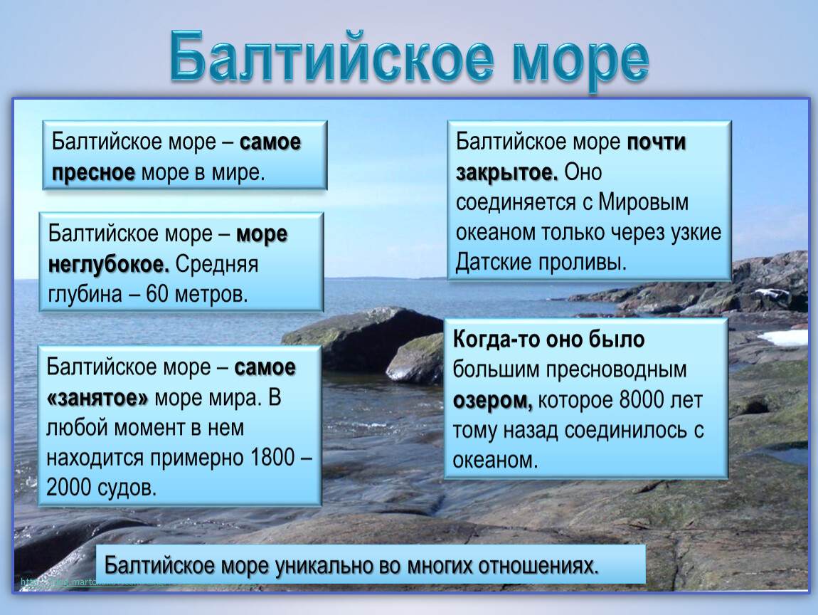 Описание балтийского моря по плану 6 класс география