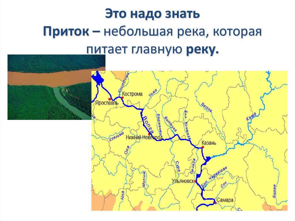 40 интересных фактов о реке волга