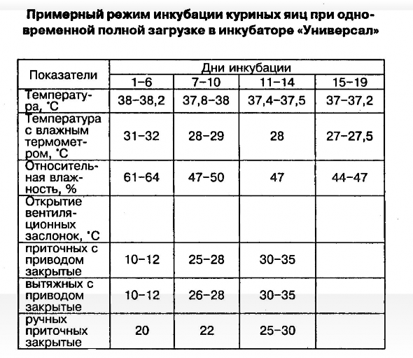 Влажность яиц куриных. Температура вывода цыплят в инкубаторе таблица. Инкубация куриных яиц таблица температура. Температура в инкубаторе для куриных яиц таблица. Температура в инкубаторе для цыплят таблица.