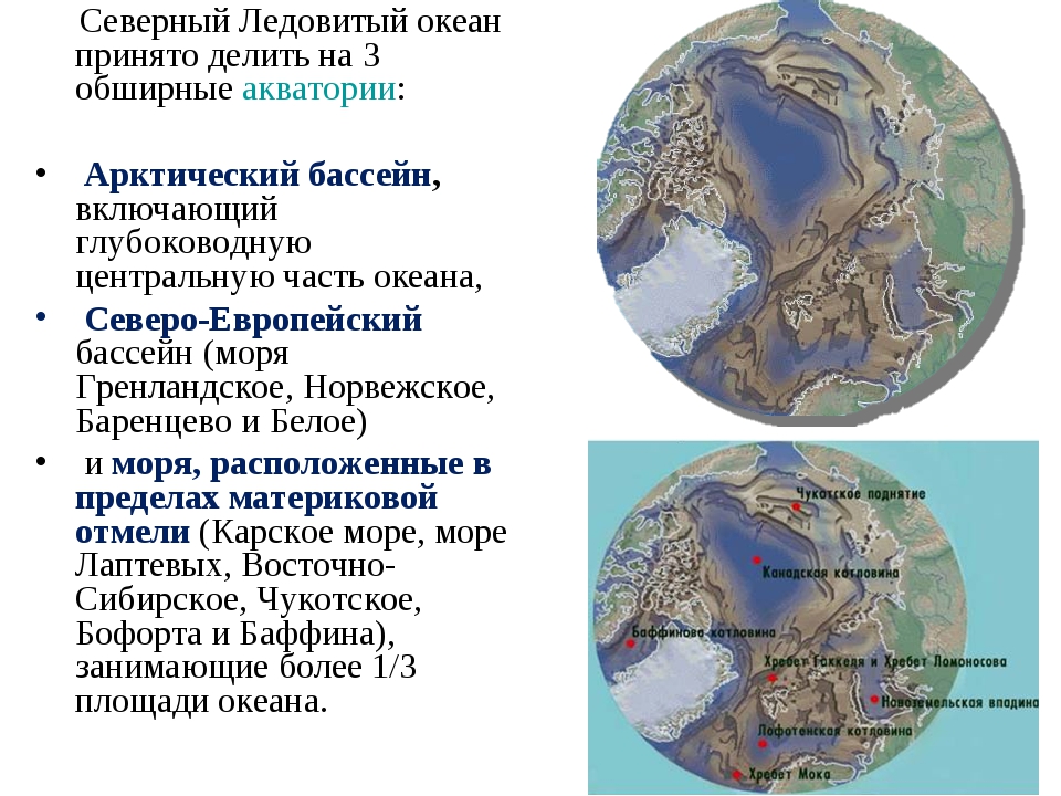 Описание северо ледовитого океана по плану 7 класс география