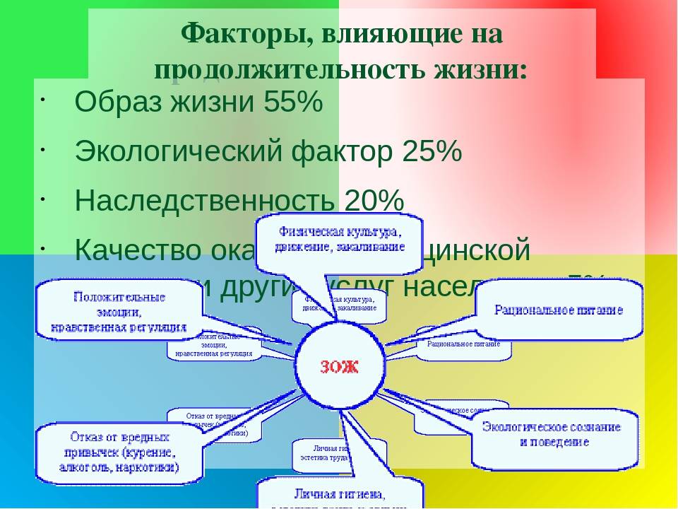 Проект продолжительность жизни человека