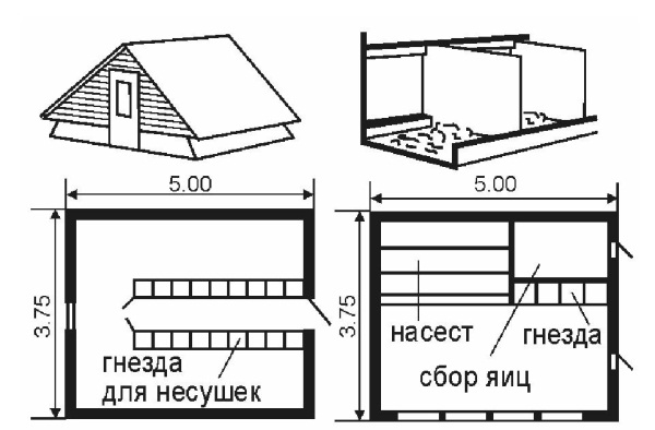 Гнездо для кур чертеж