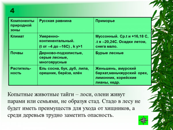 Годовой сток тайги в россии. Смешанные и широколиственные леса таблица 8. Характеристика зоны лесов. Зона хвойных лесов таблица. Тайга характеристика природной зоны.