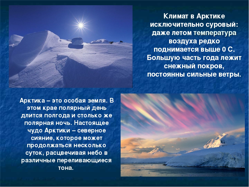 Арктические пустыни изменение природы человеком. Климат Арктики. Доклад про Арктику. Климат Арктики презентация. Природа Арктики описание.