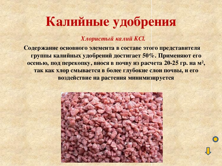 Калий удобрение для чего применяют. Калийные удобрения. Калийные Минеральные удобрения. Калийные удобрения презентация. Формы калийных удобрений.