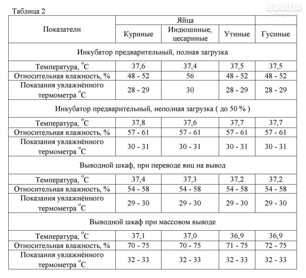 Схема температуры в инкубаторе для куриных яиц