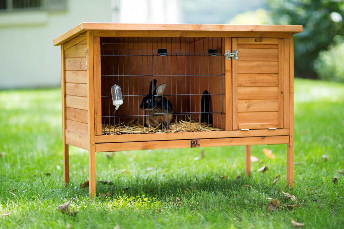 кролика домик фото