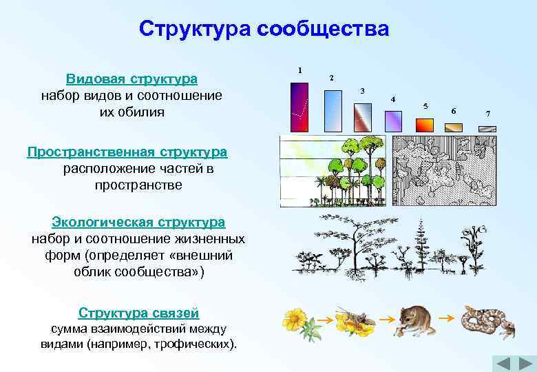 B сравните эти экосистемы по плану признаки для a сравнения видовой состав вид энергии