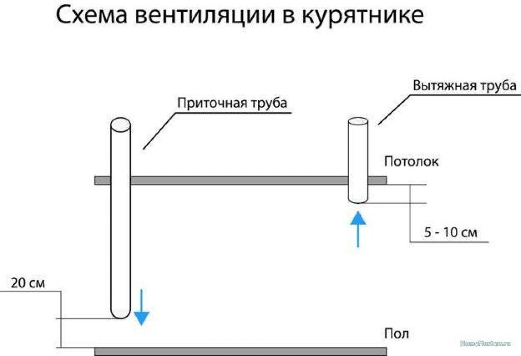Вентиляция в курятнике: виды и схемы, как сделать своими руками