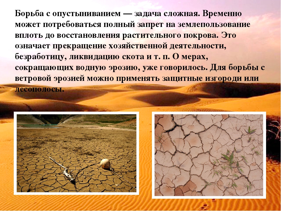 Засуха значение. Борьба с опустыниванием. Меры борьбы с опустыниванием. Опустынивание презентация. Борьба с опустыниванием и засухой.