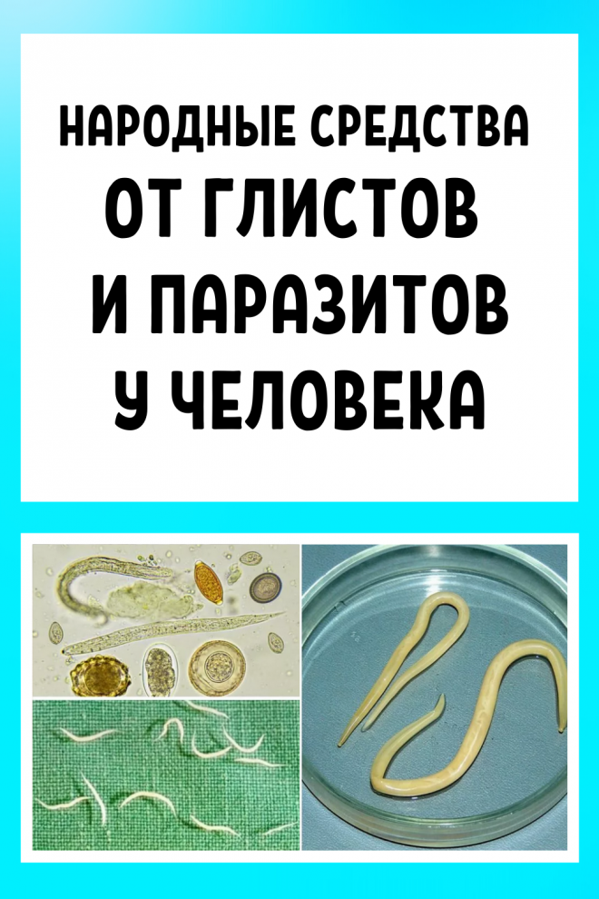 Народные средства от глистов. Глисты народные средства. Средство от глистов и паразитов.