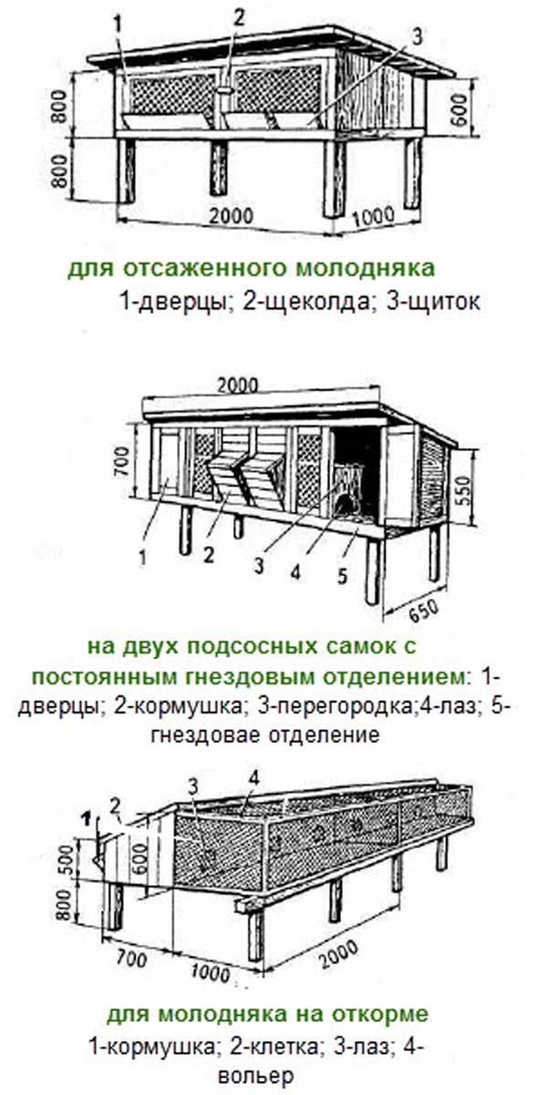 Как сделать крольчатник своими руками схема