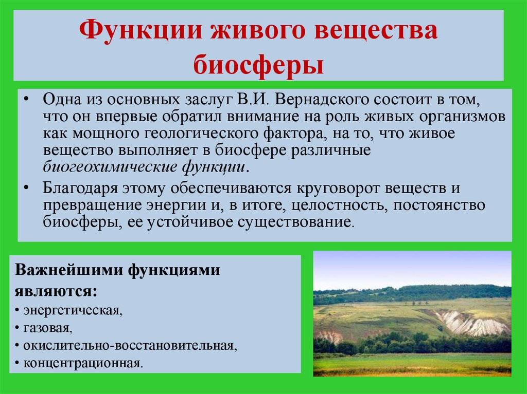 Составьте развернутый план параграфа биология 8 класс роль живых организмов в биосфере