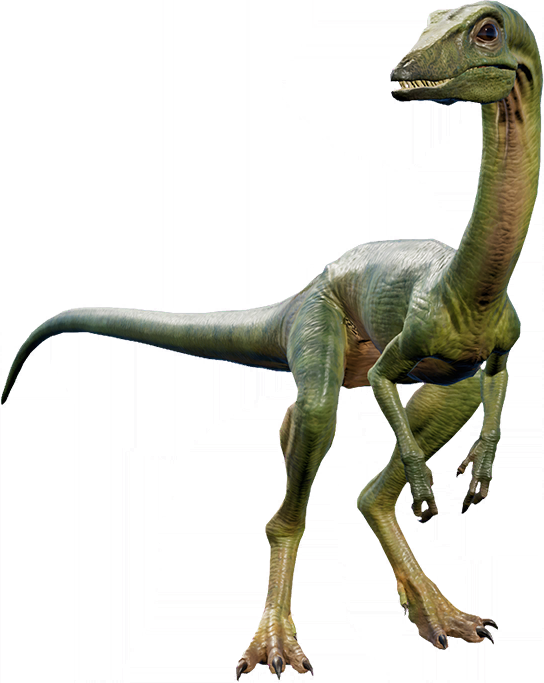 Compsognathus etymology, facts, classification, adaptation and behavior