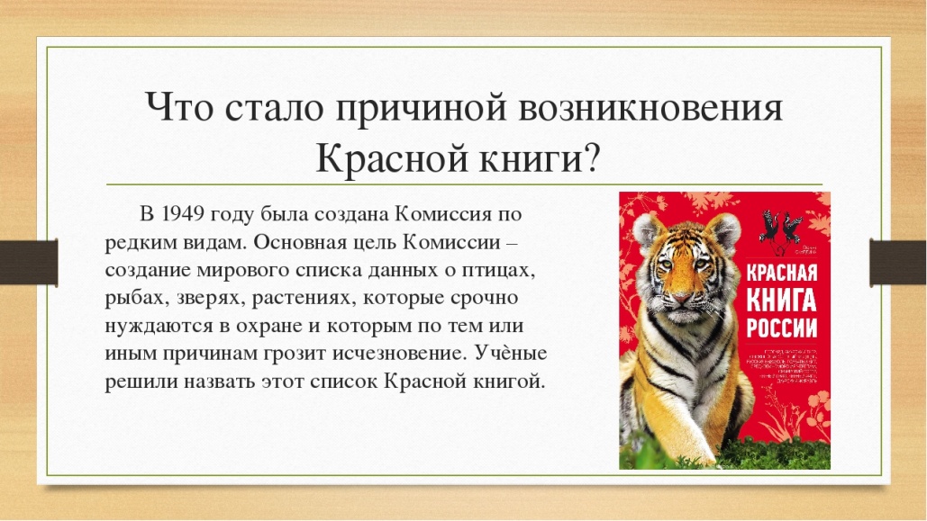 Проект о животном из красной книги 5 класс