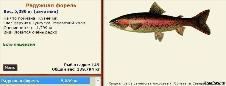 Микижа: описание и фото рыбы, ареал обитания и способы ловли