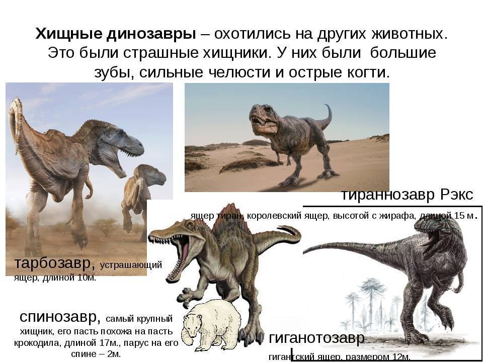 Какие были динозавры названия и фото для детей