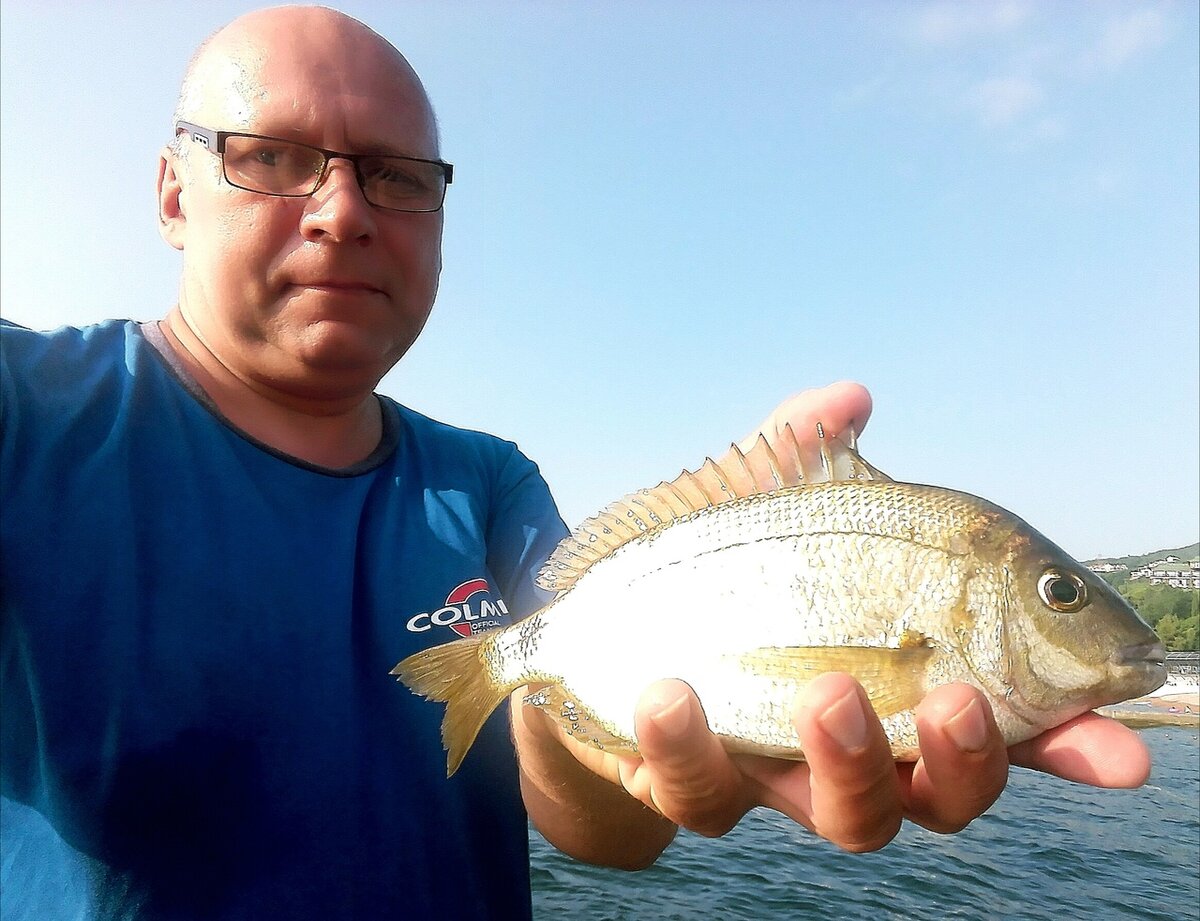 Рыба 🐟 карась. как выглядит карась 👍, сколько живёт и где водится