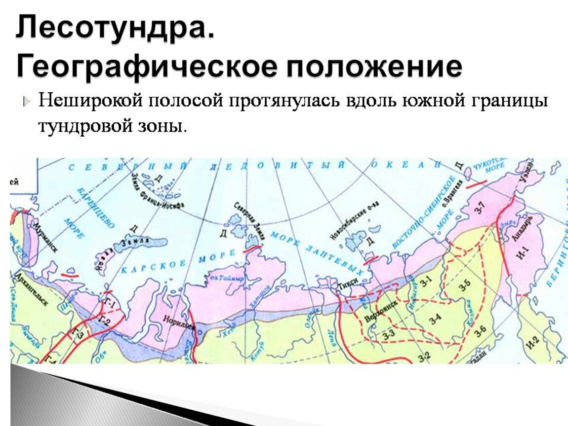 Зона тундр располагается на севере россии. Географическое положение зоны лесотундры в России. Географическое положение зоны тундры и лесотундры в России. Географическое положение лесотундры в России на карте. Зона лесотундры географическое положение.