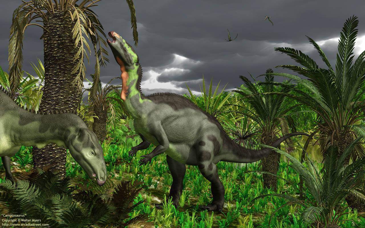 Самые хищные динозавры – список, названия, когда жили, описание, фото и видео
