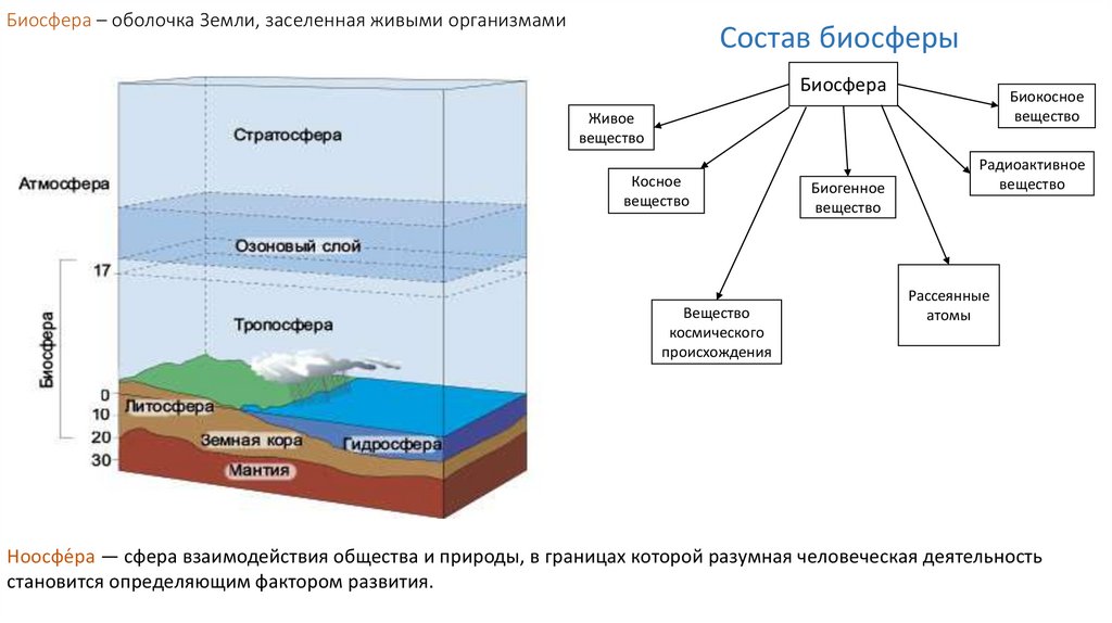 Какие факторы ограничивают распространение жизни в атмосфере. Биосфера оболочки земли таблица. Нарисовать схему границы биосферы. Биосфера оболочка земли схема. Таблица структура биосферы и ее границы.