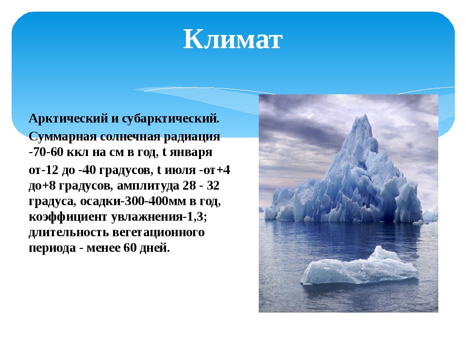 Жизнь в полярных поясах и в океане презентация 5 класс география