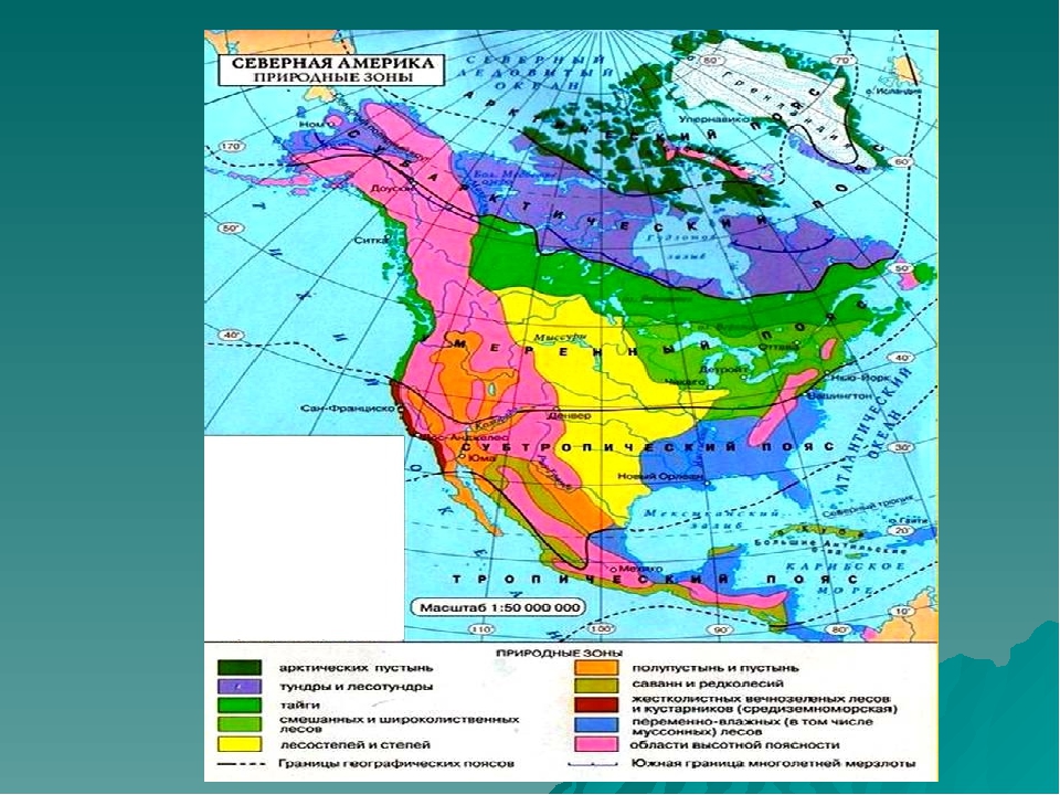 Какой пояс занимает большую часть северной америки. Климатические пояса и зоны Северной Америки. Карта природных зон Северной Америки. Карта природных зон США. Климатические пояса Северной Америки 7 класс география атлас.