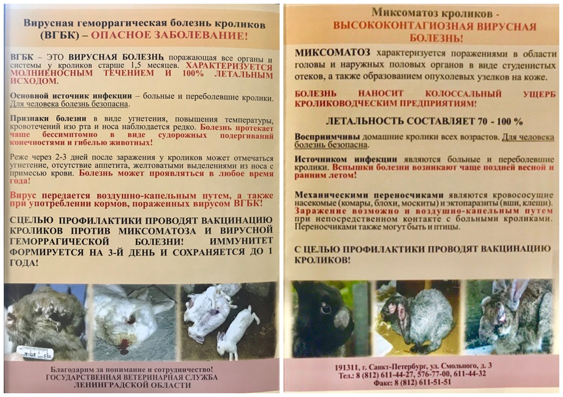 Методы дезинфекции - химические, биологические, термический, физические