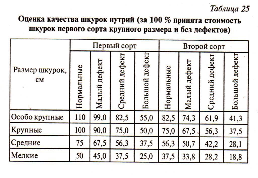 Выделка шкур: виды шкур, необходимое оборудование, растворы и инструкция