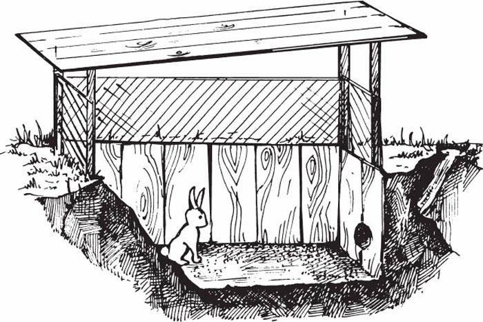 Яма для кроликов своими руками чертежи