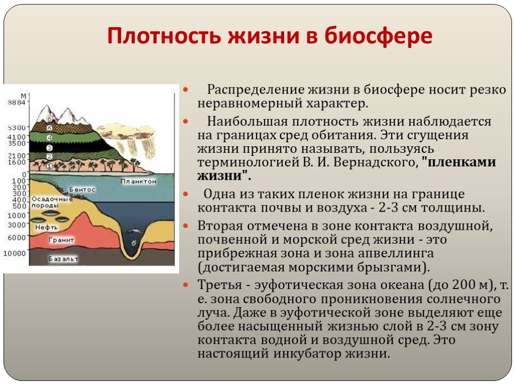 Рассмотрите рисунки 99 и 100 и объясните почему формирование органов происходит неравномерно