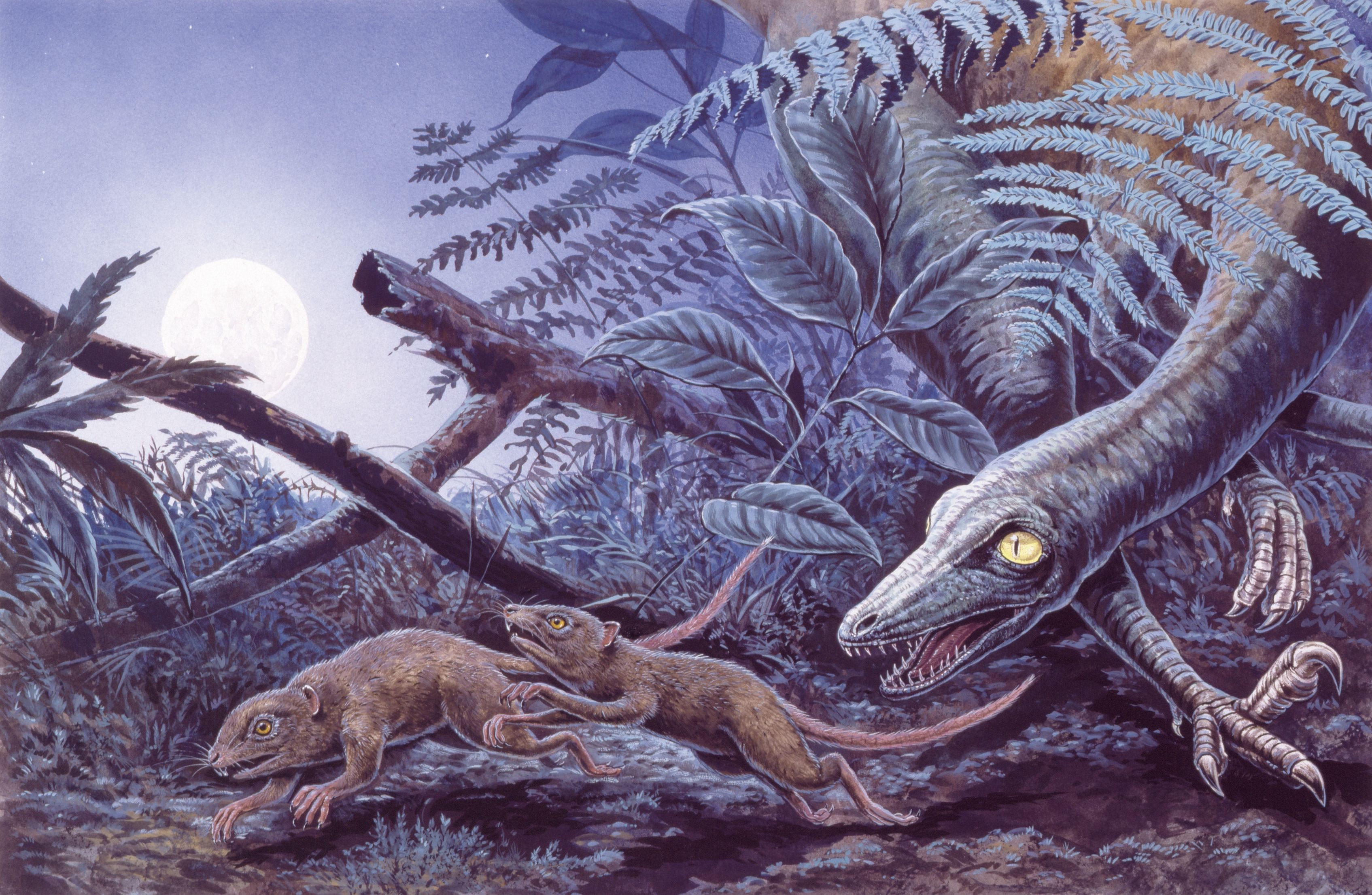 Топ-10 смертоносных динозавров мезозойской эры - динофакты