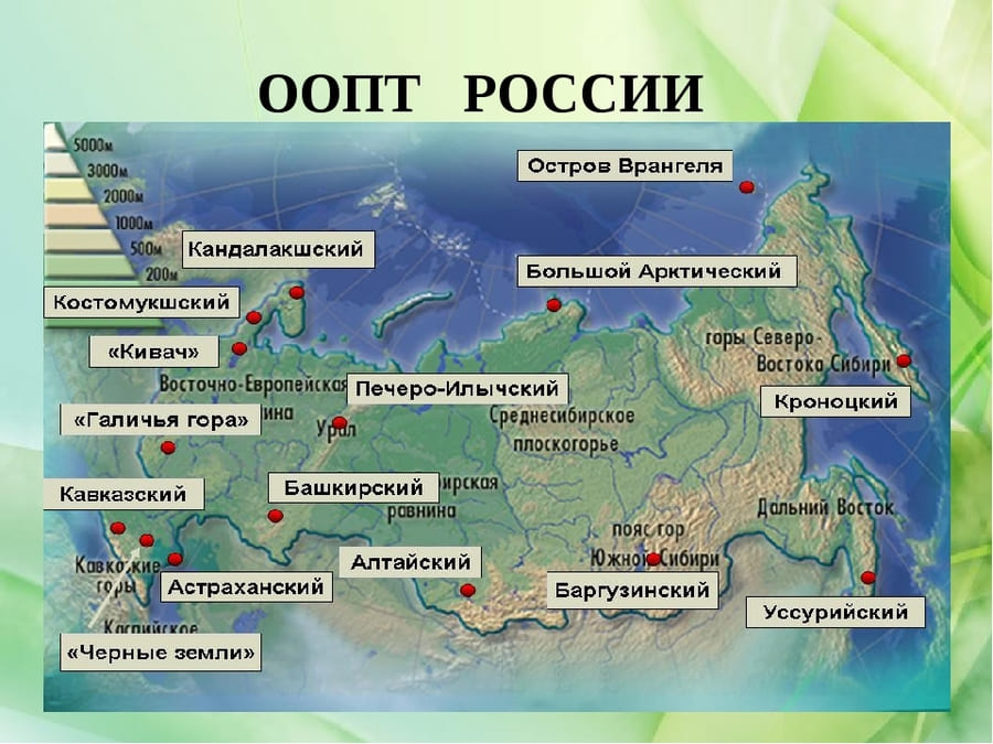 Окованго живописная африкансакая река дающая жизнь