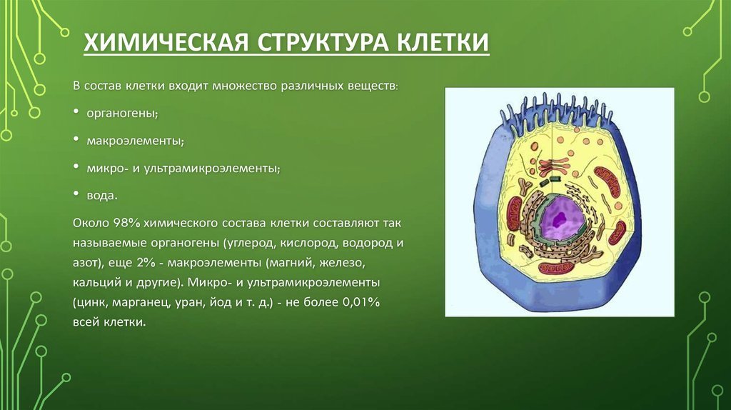 Живая клетка 5 класс биология. Химическое строение клетки. Строение и химический состав клетки. Клетка строение клетки. Клетка биология строение.