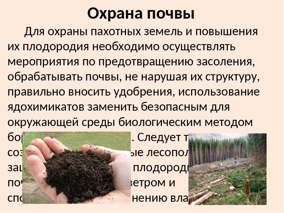Повышение плодородие почвы называется. Охрана почвы. Меры по сохранению почв. Мероприятия по охране почвы. Меры по защите почвы.