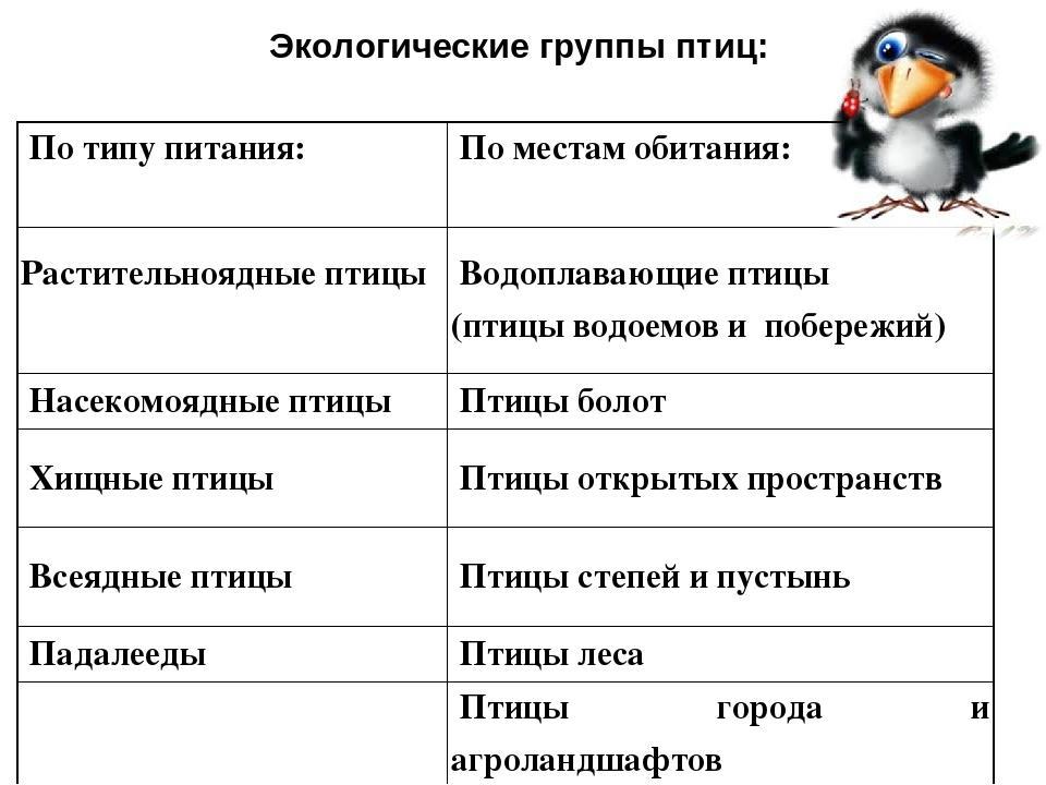 Закончите заполнение схемы класс птицы надотряд представители