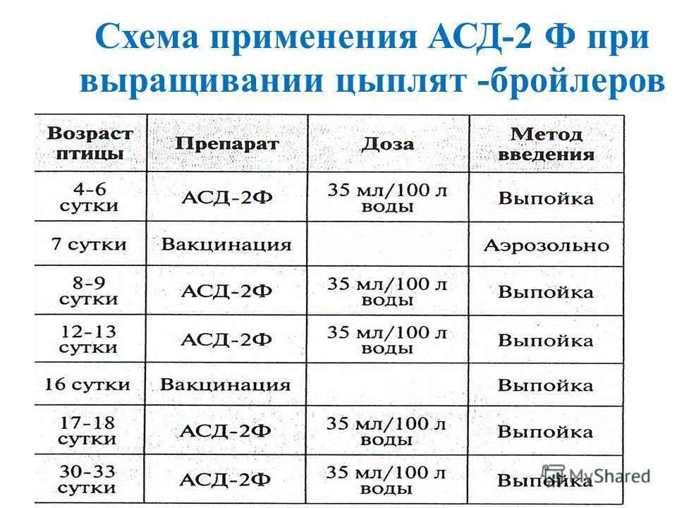 Хронический насморк у взрослого: симптомы, причины, лечение