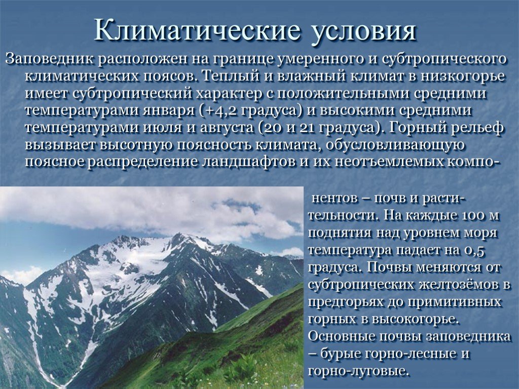 Климатический пояс северного кавказа