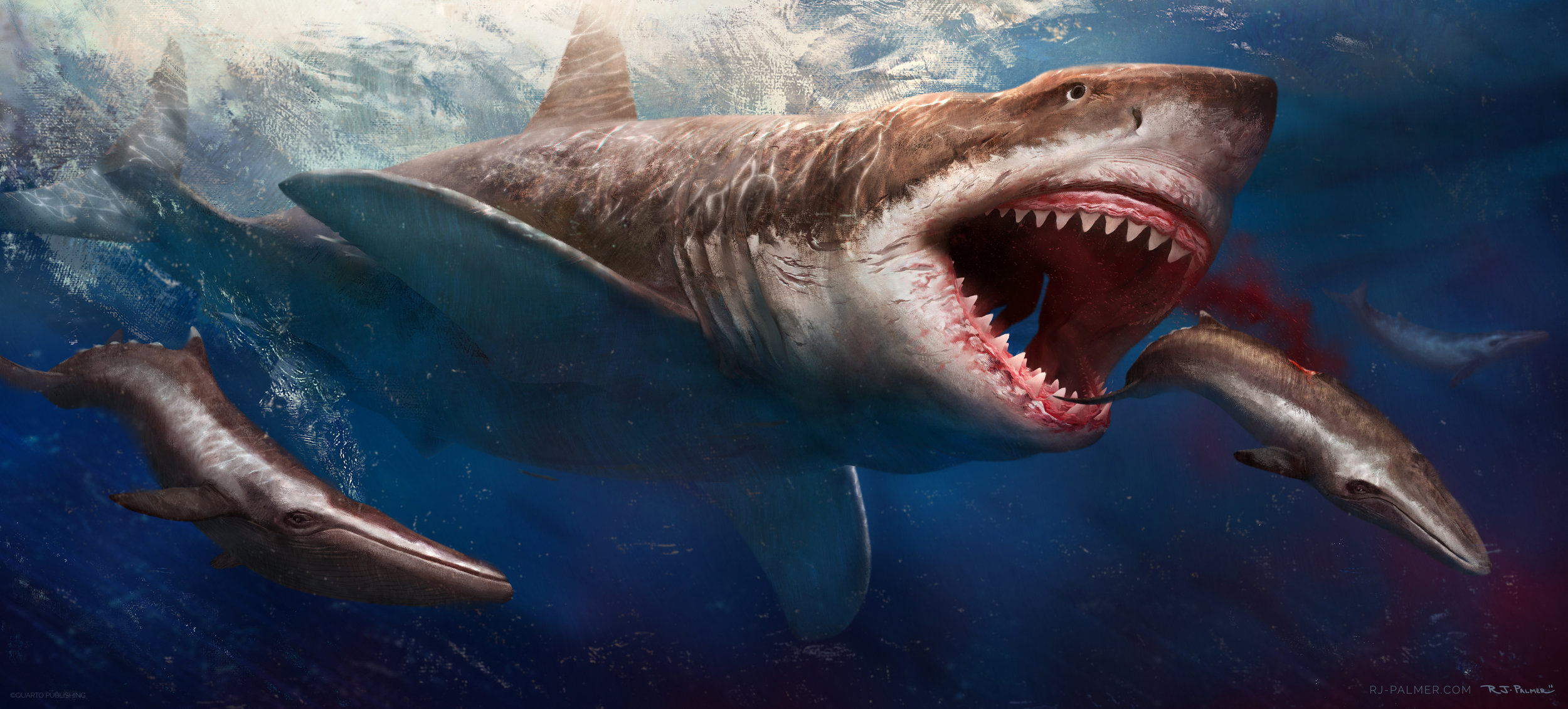 Мегалодон: по следам вымершей акулы – 7 фактов о мегалодоне
