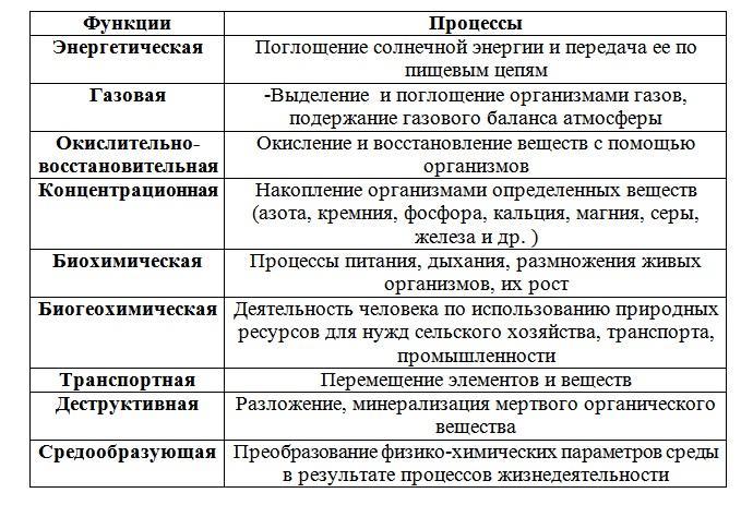 Составьте развернутый план параграфа биология 8 класс роль живых организмов в биосфере